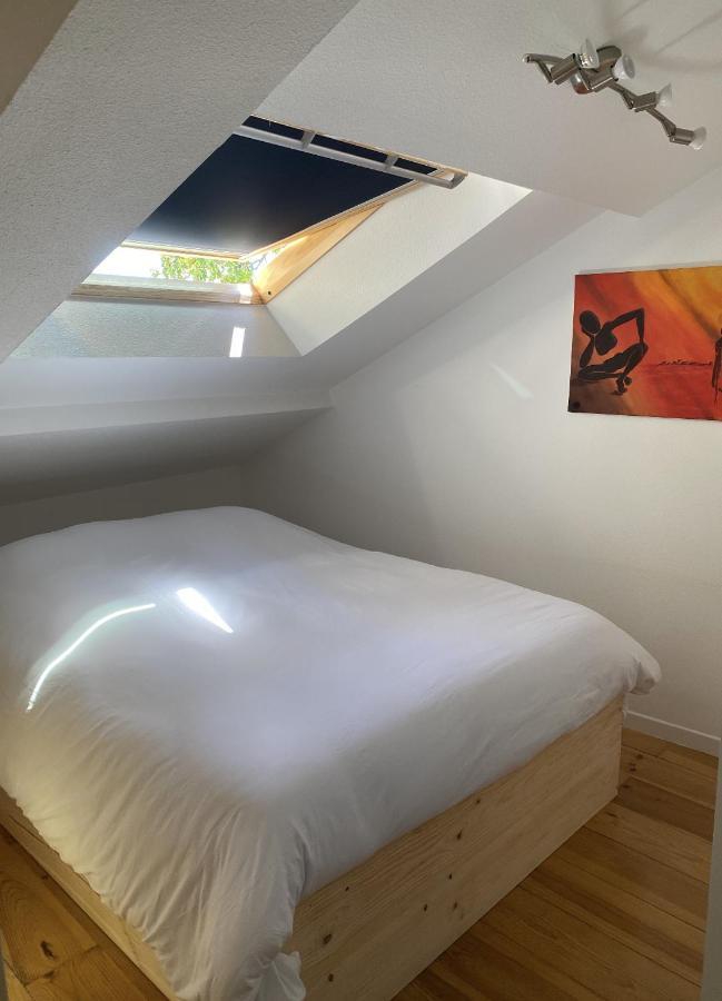T3 Duplex6 Hyper-Centre Climatise Apartamento Albi Exterior foto